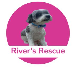 River’s Rescue